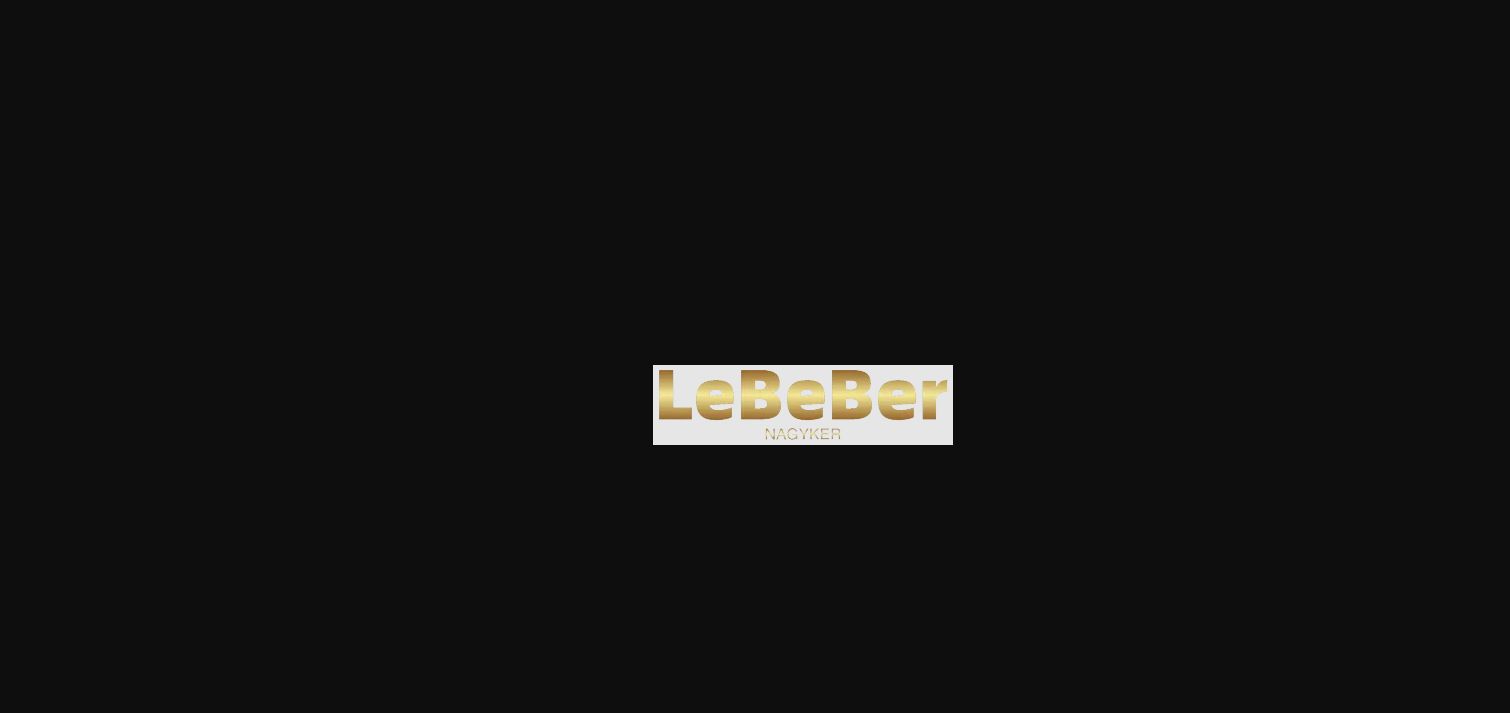 lebeber-kamu-logo