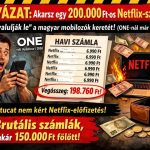 kamuwebshopok-hu-digitalis-csalas-one-netflix-csalas